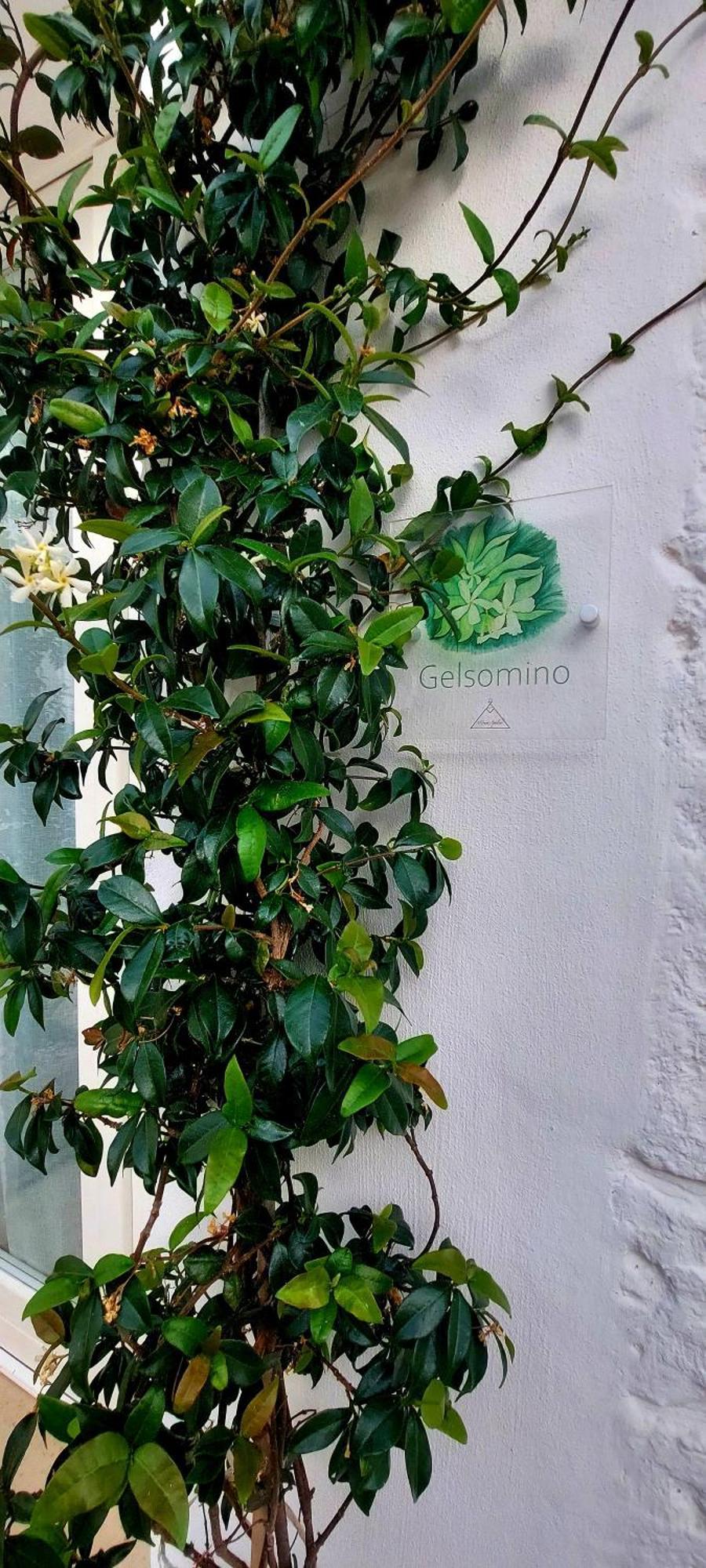 Mirum Apuliae Alberobello Exteriör bild